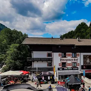 *** Hotel Pinzgauerhof & Bike - Inclusive Evening Dinner Oostenrijk